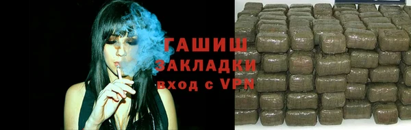 эйфоретик Бородино