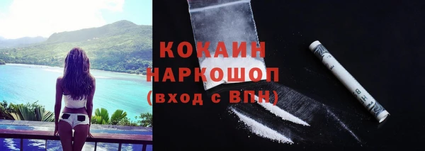 эйфоретик Бородино