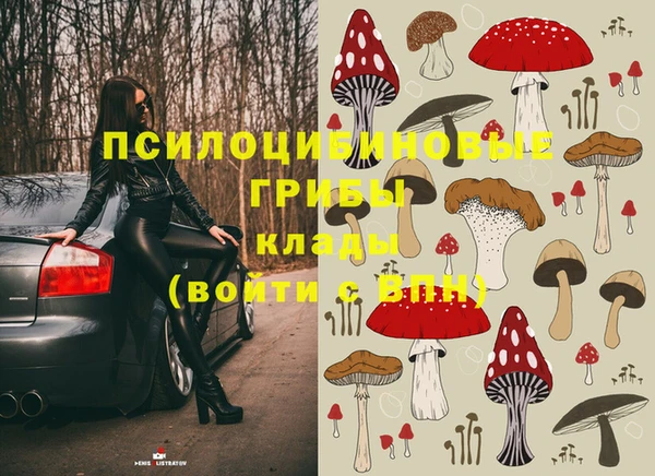 молекула духа Киров