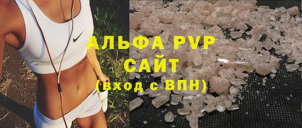 эйфоретик Бородино