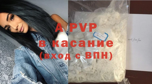 эйфоретик Бородино