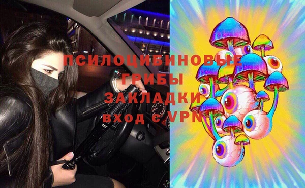 мяу мяу мука Кемь